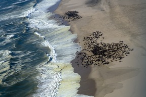 Swakopmund